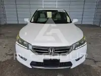 2015 Honda Accord photo