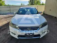 2015 Honda Accord photo