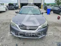 2015 Honda Accord photo