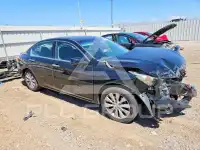 2015 Honda Accord photo