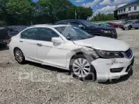 2015 Honda Accord photo