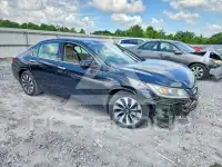 2015 Honda Accord photo