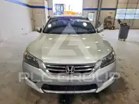 2015 Honda Accord photo