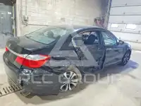 2015 Honda Accord photo