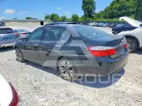 2015 Honda Accord фото