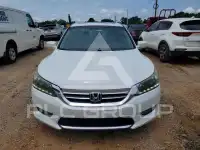 2015 Honda Accord photo