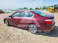 2015 Honda Accord photo