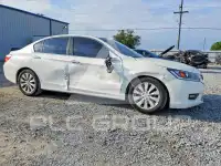 2015 Honda Accord photo
