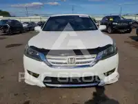 2015 Honda Accord photo