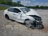2015 Honda Accord фото