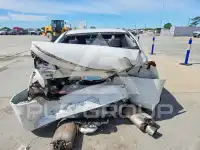2015 Honda Accord photo