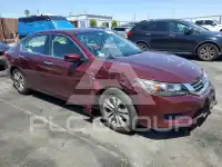 2015 Honda Accord photo