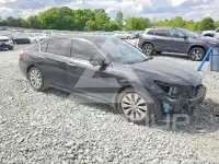 2015 Honda Accord photo