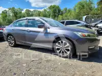 2015 Honda Accord photo