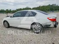 2015 Honda Accord photo