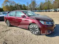 2015 Honda Accord photo