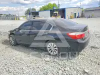2015 Honda Accord photo