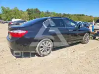 2015 Honda Accord photo