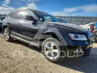 2015 Audi SQ5 фото