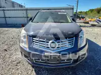 2015 Cadillac SRX фото