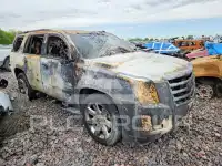 2015 Cadillac ESCALADE фото