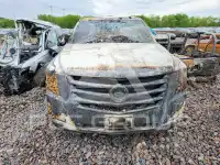 2015 Cadillac ESCALADE фото