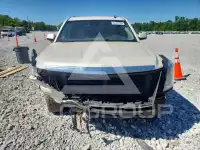 2015 Cadillac ESCALADE photo