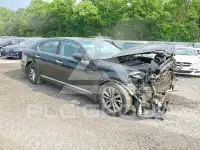 2015 Lexus LS460 фото