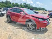 2015 Lexus NX фото
