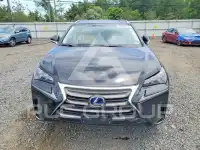 2015 Lexus NX фото