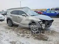 2015 Lexus NX фото
