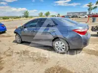 2015 Toyota COROLLA photo