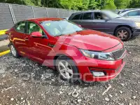 2015 KIA Optima фото