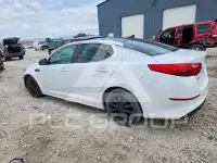 2015 KIA Optima фото