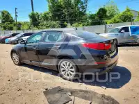 2015 KIA Optima фото