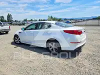 2015 KIA Optima фото
