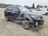 2015 KIA Sorento photo
