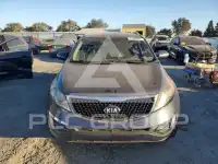 2015 KIA Sportage фото
