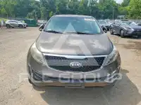 2015 KIA Sportage фото