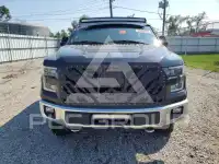 2015 Ford F-150 photo