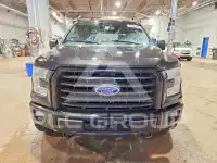 2015 Ford F-150 фото