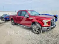 2015 Ford F-150 photo