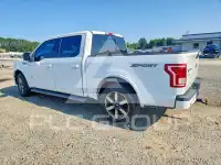 2015 Ford F-150 photo