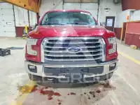 2015 Ford F-150 photo