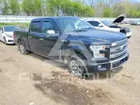 2015 Ford F-150 фото