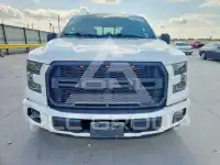 2015 Ford F-150 photo