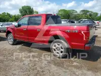 2015 Ford F-150 photo