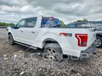 2015 Ford F-150 photo
