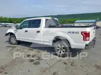 2015 Ford F-150 photo