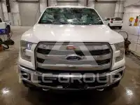 2015 Ford F-150 photo